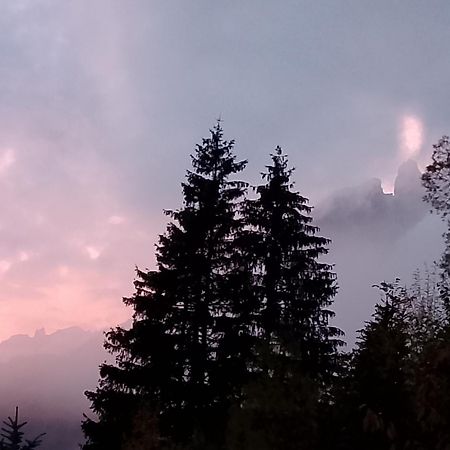 Appartamento Niki Campitello Campitello di Fassa Dış mekan fotoğraf