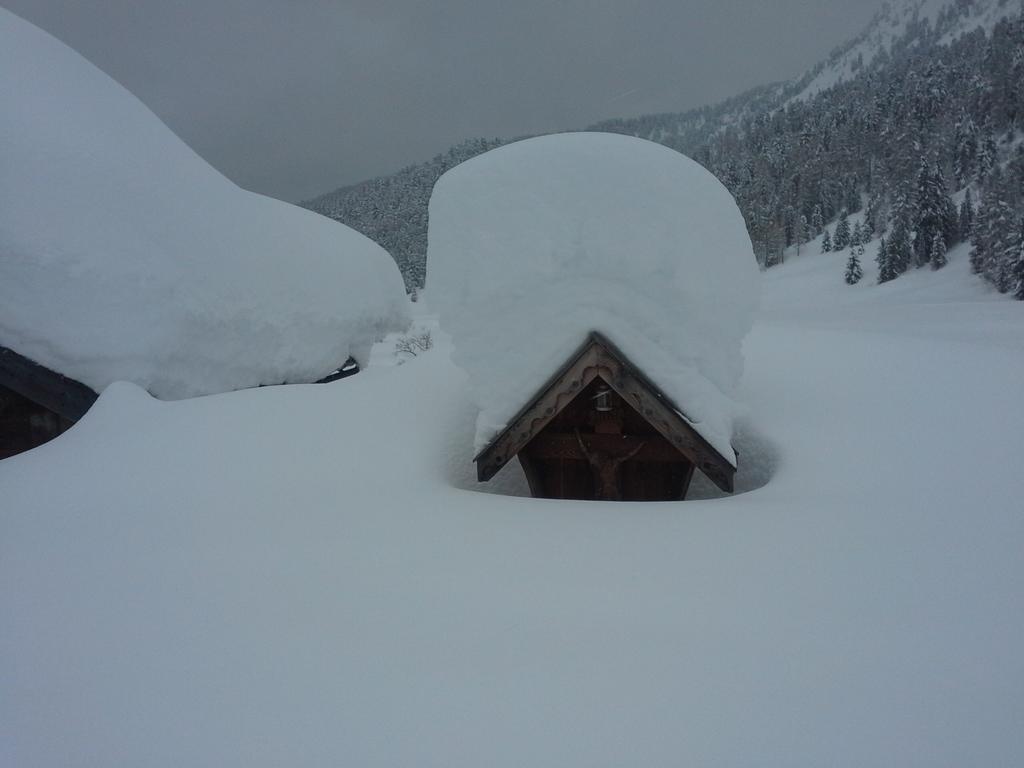 Appartamento Niki Campitello Campitello di Fassa Oda fotoğraf