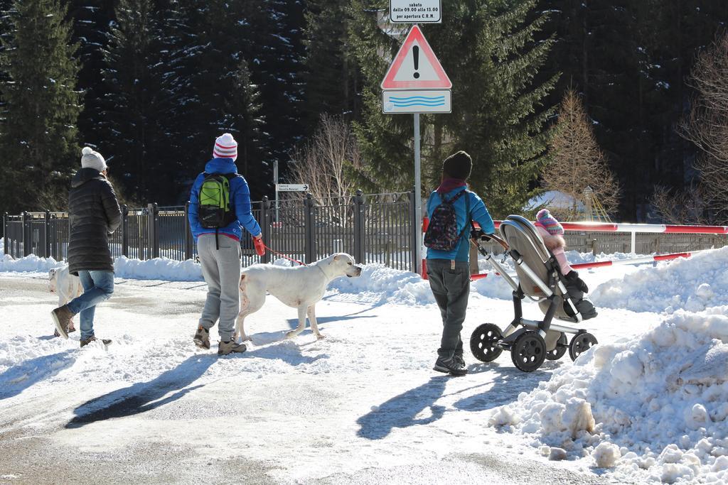 Appartamento Niki Campitello Campitello di Fassa Dış mekan fotoğraf