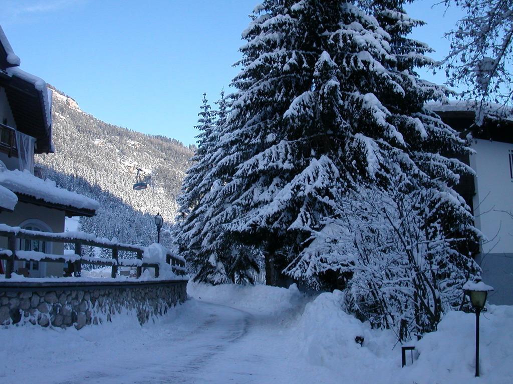 Appartamento Niki Campitello Campitello di Fassa Dış mekan fotoğraf