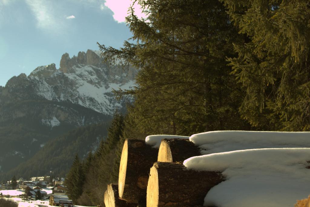 Appartamento Niki Campitello Campitello di Fassa Dış mekan fotoğraf