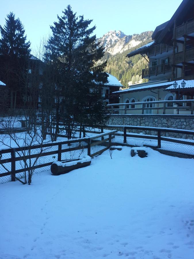 Appartamento Niki Campitello Campitello di Fassa Dış mekan fotoğraf