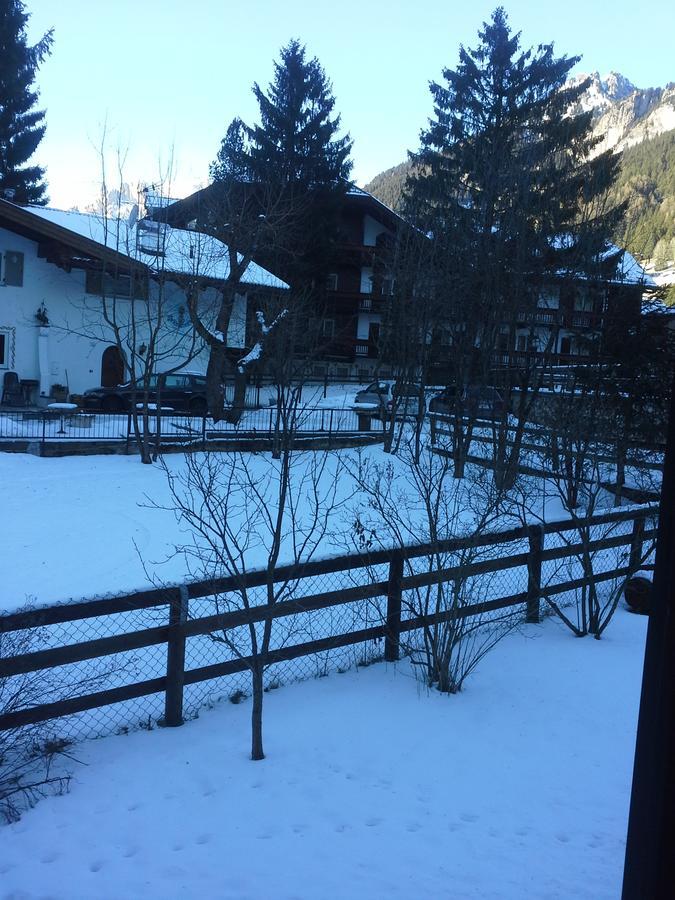 Appartamento Niki Campitello Campitello di Fassa Dış mekan fotoğraf